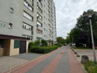 Zdjęcie 9