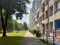 Zdjęcie 18
