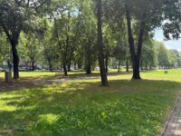 Zdjęcie 17