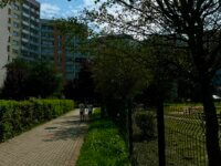 Zdjęcie 21